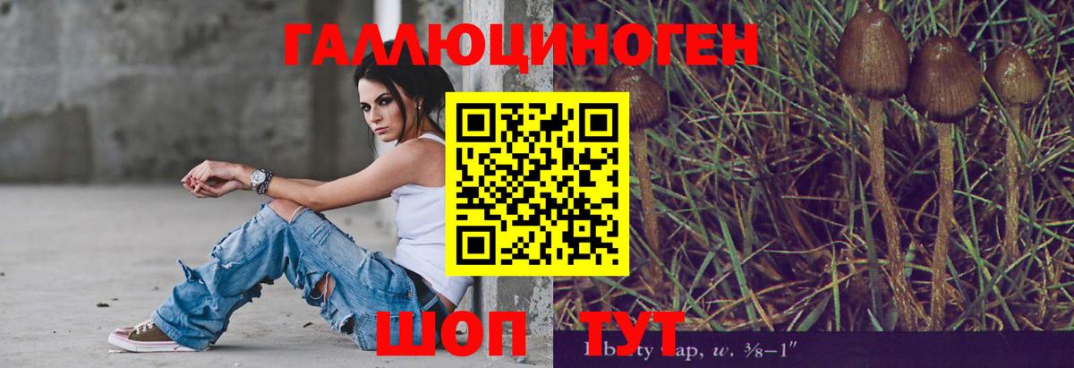 Псилоцибиновые грибы мицелий Новомосковск